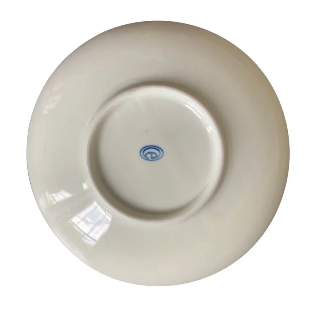 Ceramic Pig Cat Graphic Plates Cat food dishes Plates Whimsical